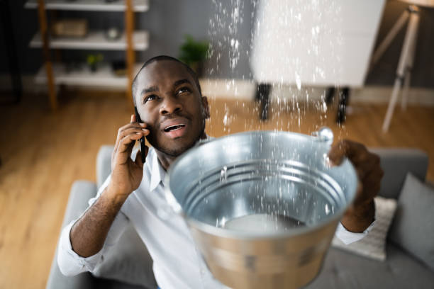 Best 24-hour water damage restoration  in Sanford, FL