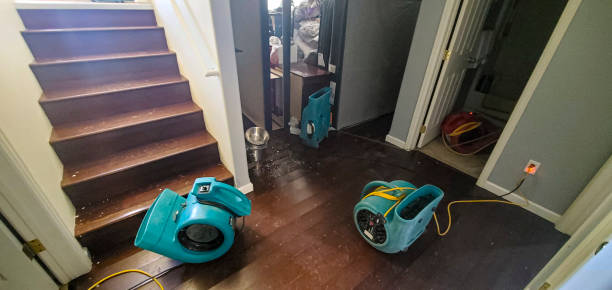 Best Water damage cleanup near me  in Sanford, FL