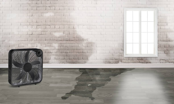 Water damage restoration experts in Sanford, FL