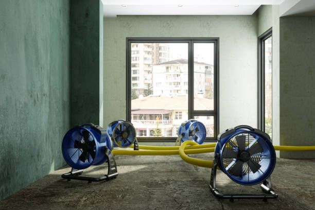 Best Water damage repair service  in Sanford, FL