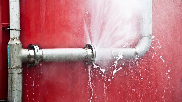 Best Professional water damage repair  in Sanford, FL