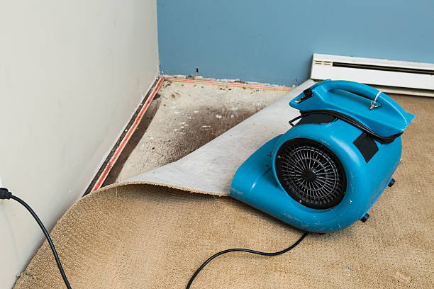 Best Sewage cleanup and water damage restoration  in Sanford, FL
